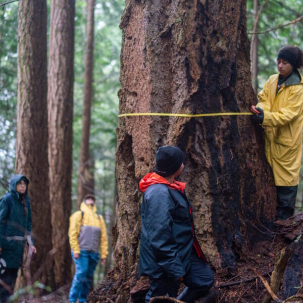 Hug a tree for science!