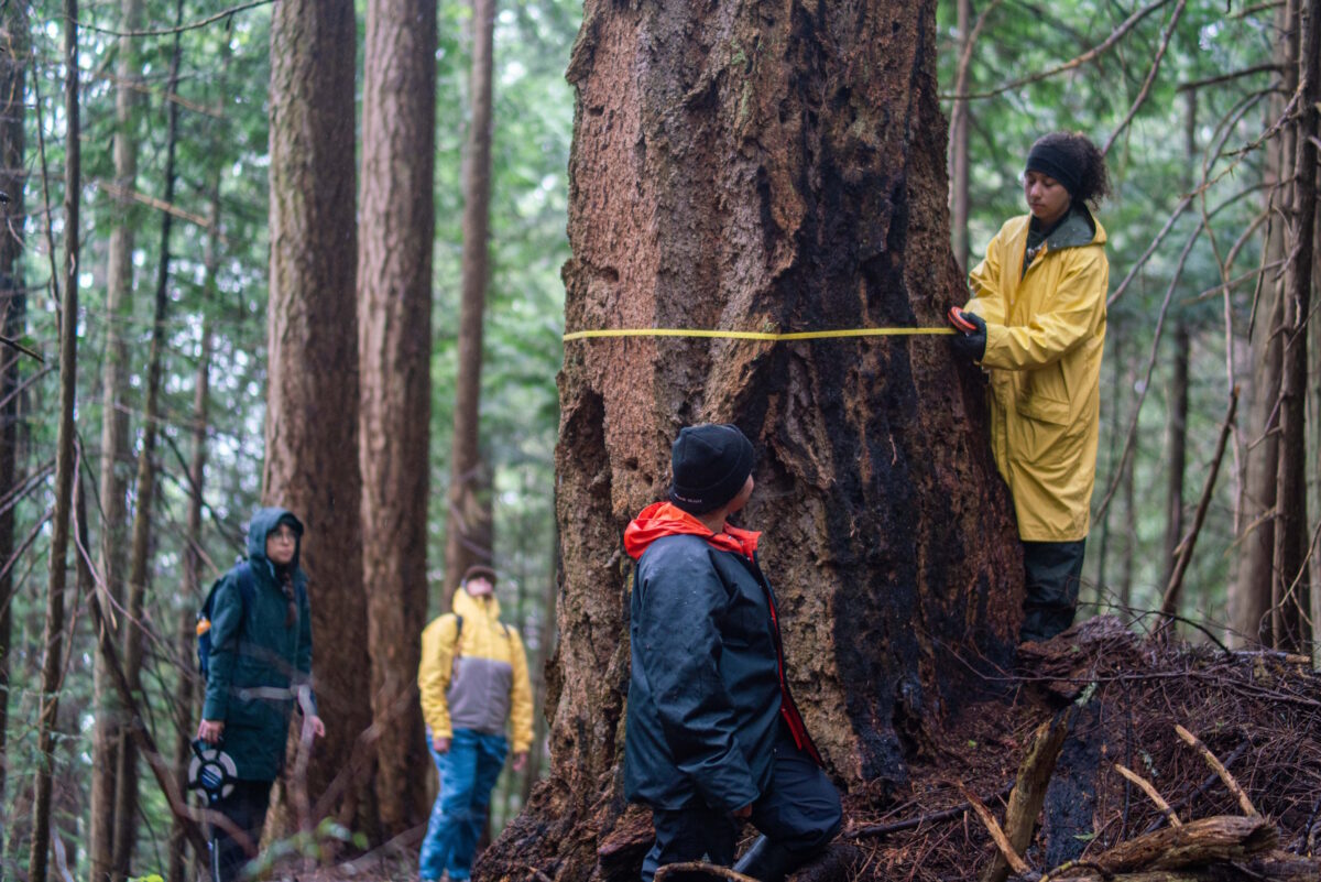 Hug a tree for science!