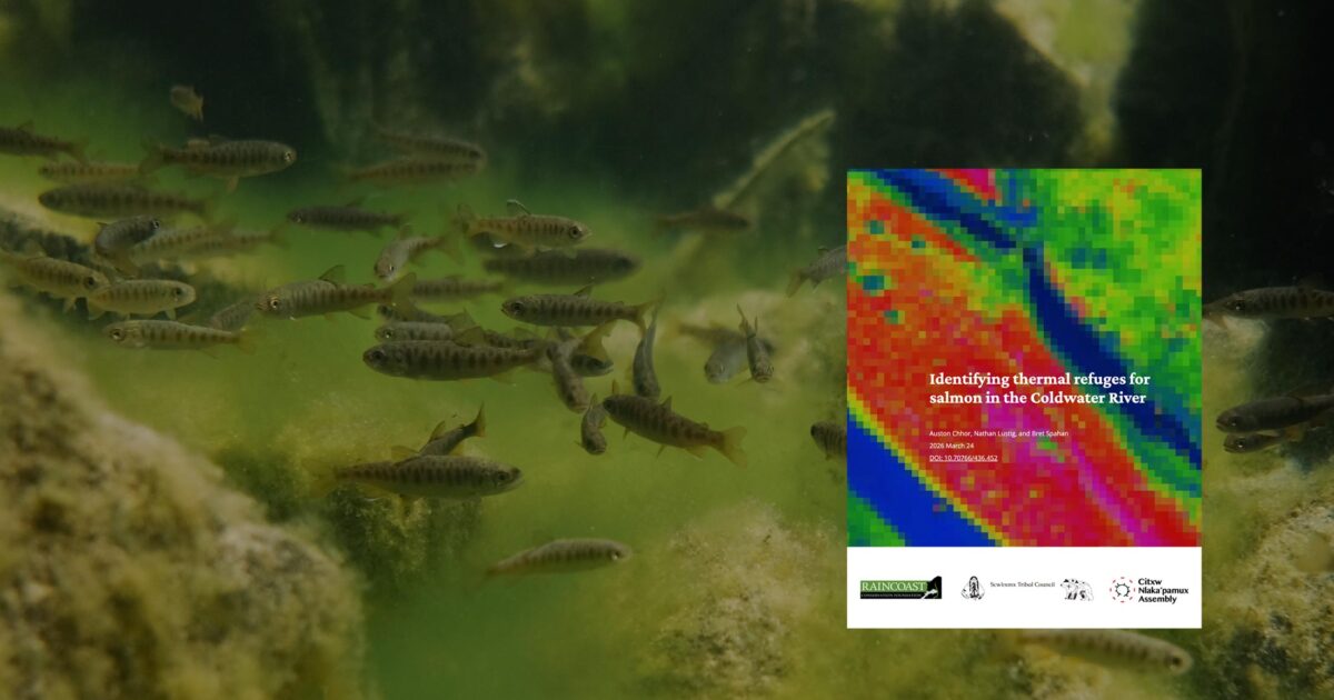 Mapping thermal refuges: Identifying critical cooling centres for salmon in the Coldwater River