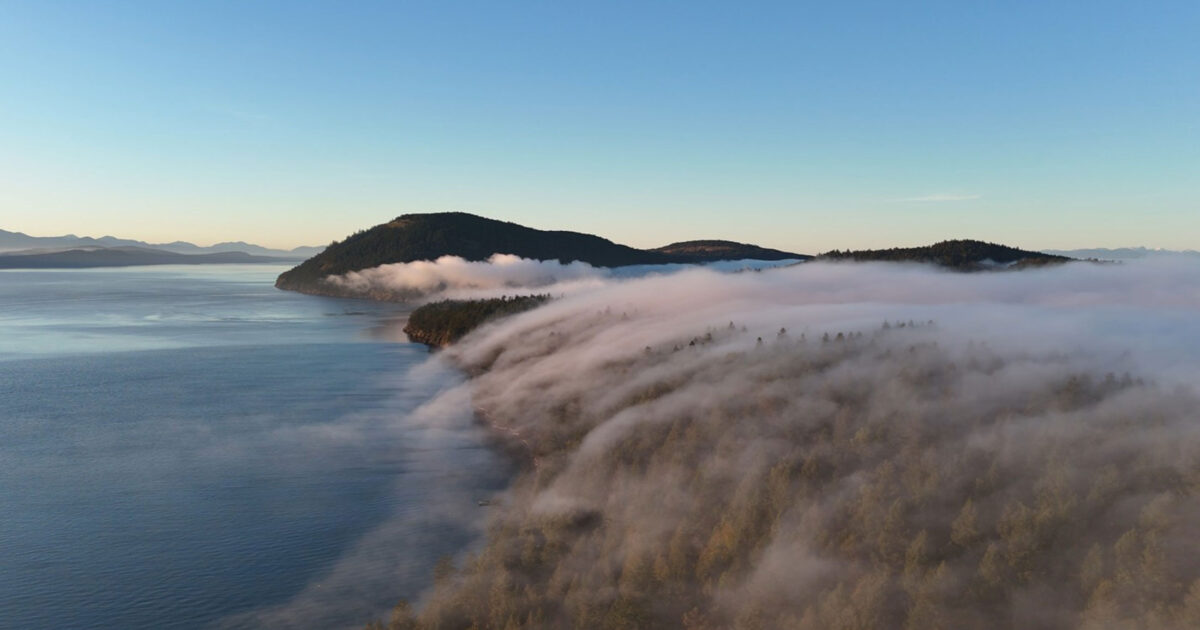 The story of Coastal Douglas-fir forests: All about Mayne Island