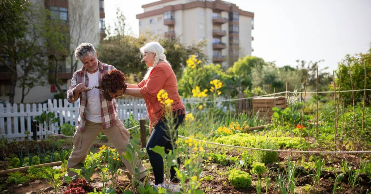 Webinar Recap: Innovative community programs to build social connection in housing