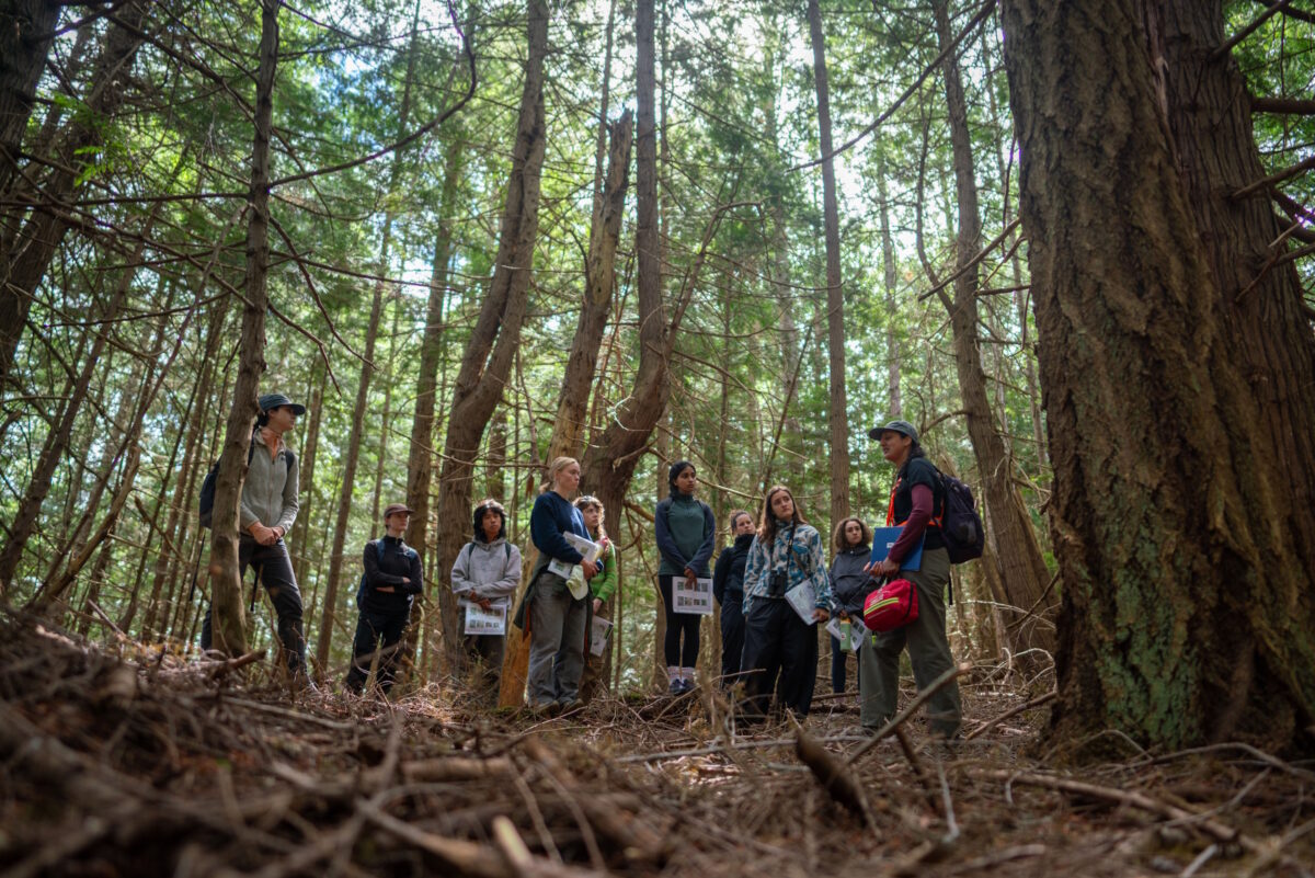 Learning from the land and each other