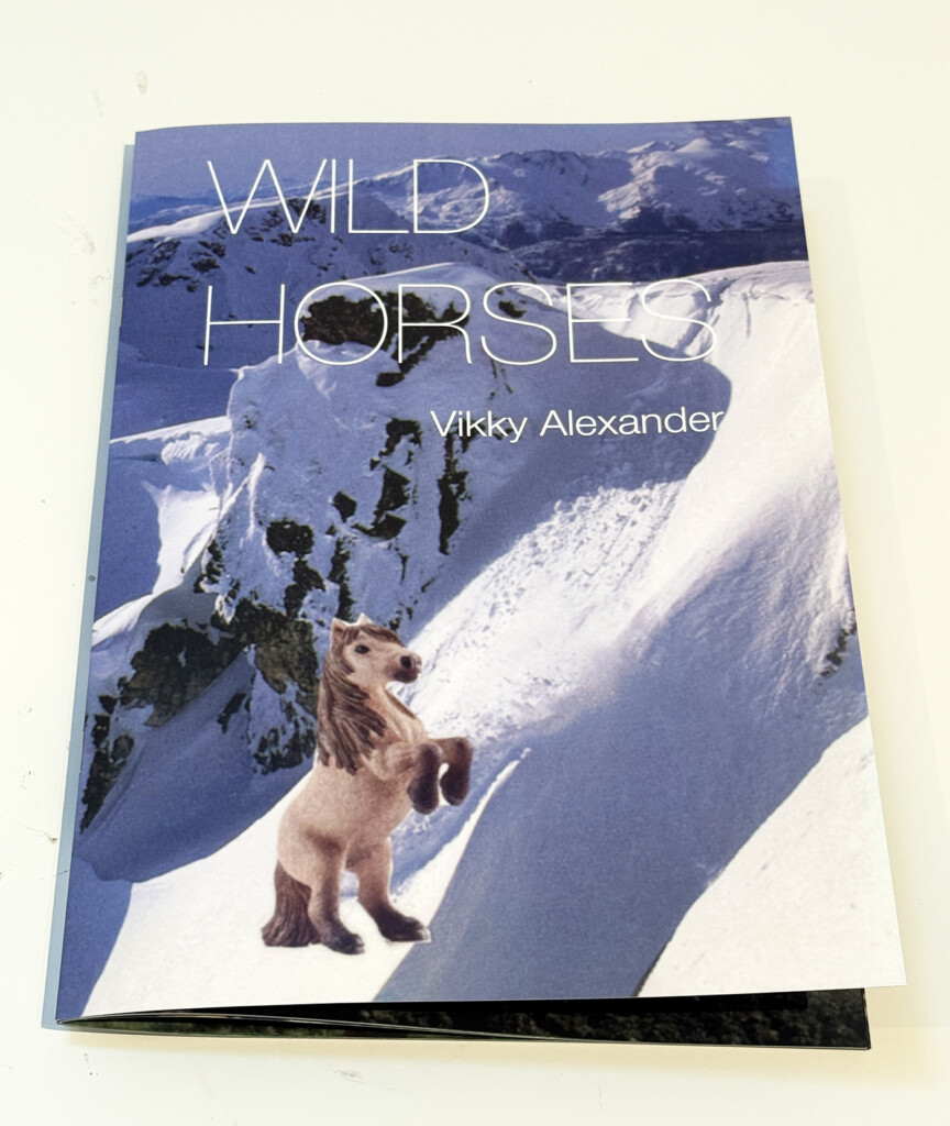 Wild Horses