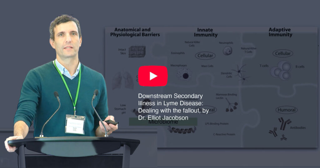 Elliot Jacobson:  Downstream Secondary Illness in Lyme Disease