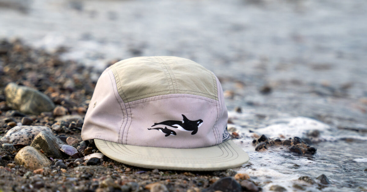 New killer whale active hat now available in the Raincoast store