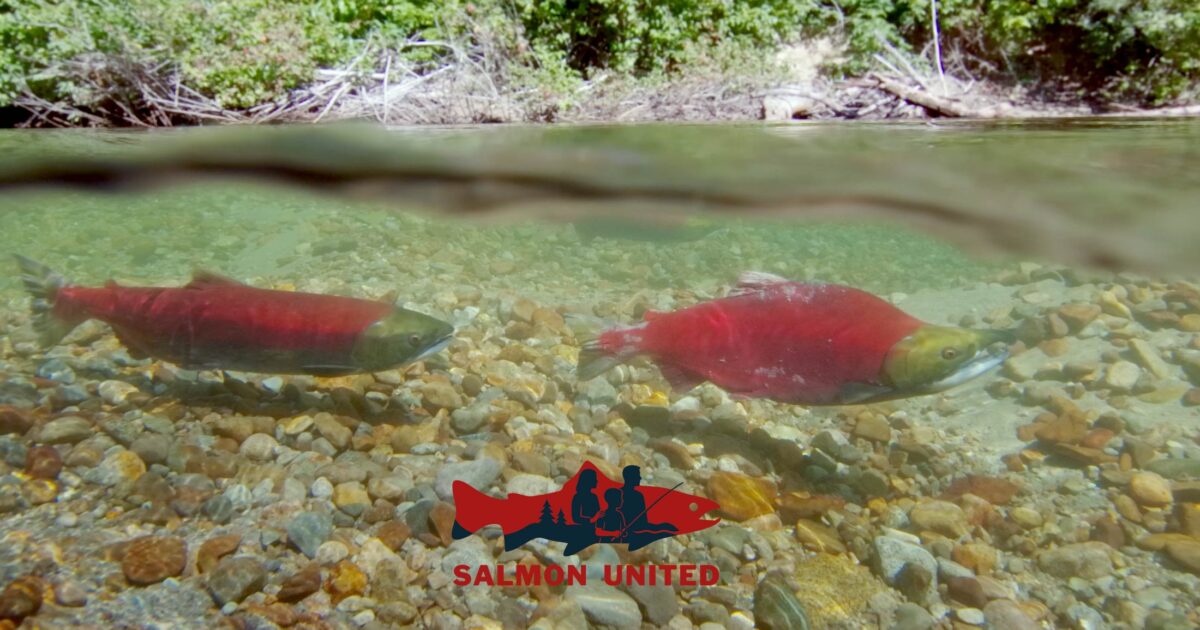 Uniting BC’s Salmon People