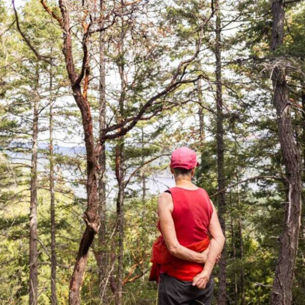 Elders for old-growth