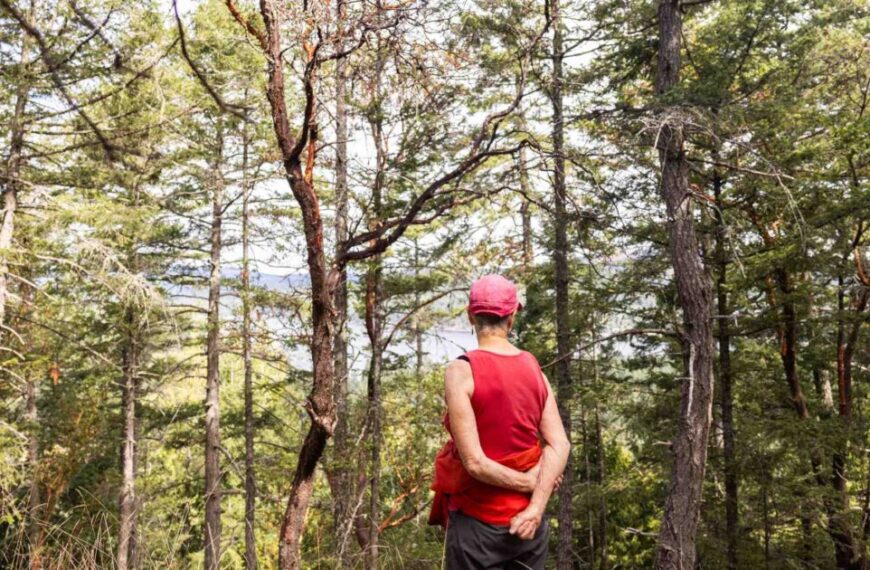 Elders for old-growth