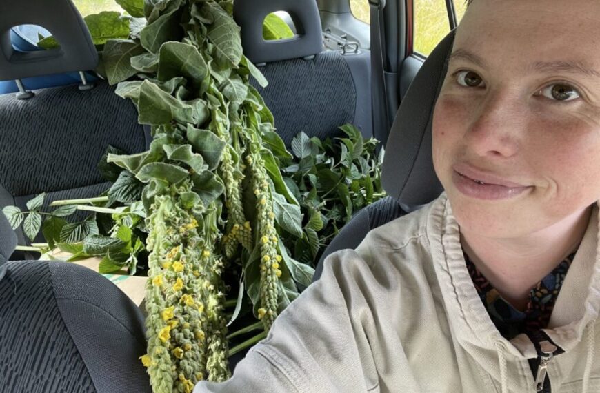 A person taking a selfie in a car with large green leafy plants and yellow flowers on the back seat, perhaps gathering herbal support as a community herbalist to promote immunity.