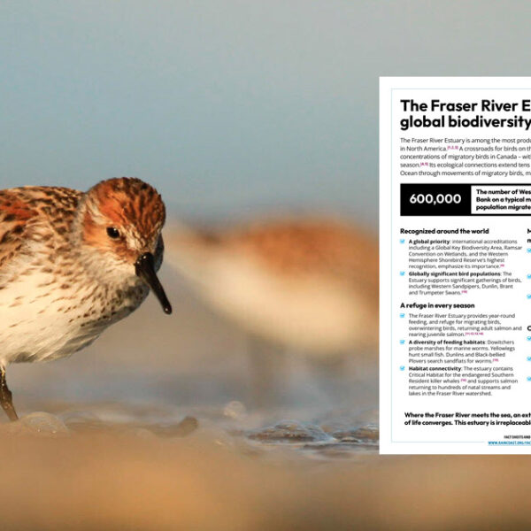 The Fraser River Estuary: A global biodiversity hotspot