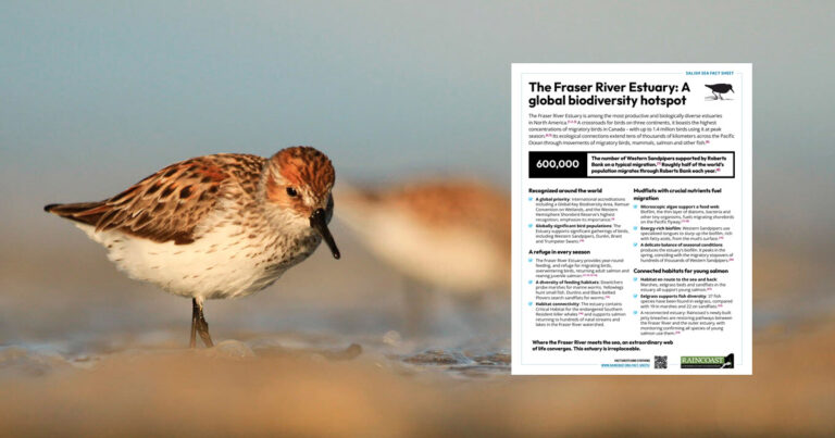 The Fraser River Estuary: A global biodiversity hotspot