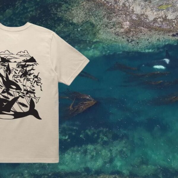 A new tee collaboration inspired by the wild coast: Nikki McClure x Raincoast x Anian
