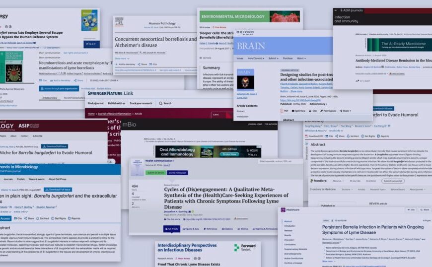 A collage of academic journal article headers and abstracts discussing Lyme disease and the symptoms associated with chronic Lyme disease.