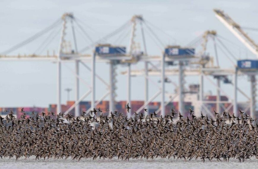 Listing Roberts Bank Terminal 2 as a Project of National Interest