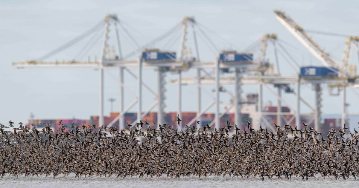 Listing Roberts Bank Terminal 2 as a Project of National Interest