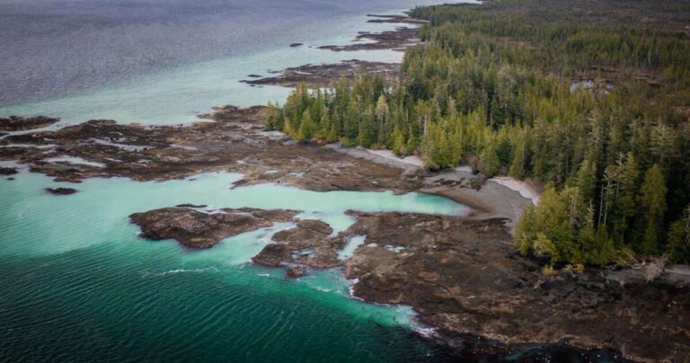 Raincoast scientists summarize decades of literature so you can understand what’s happening on the coast
