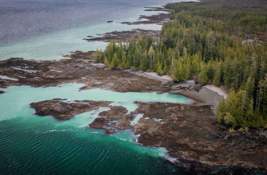 Raincoast scientists summarize decades of literature so you can understand what’s happening on the coast