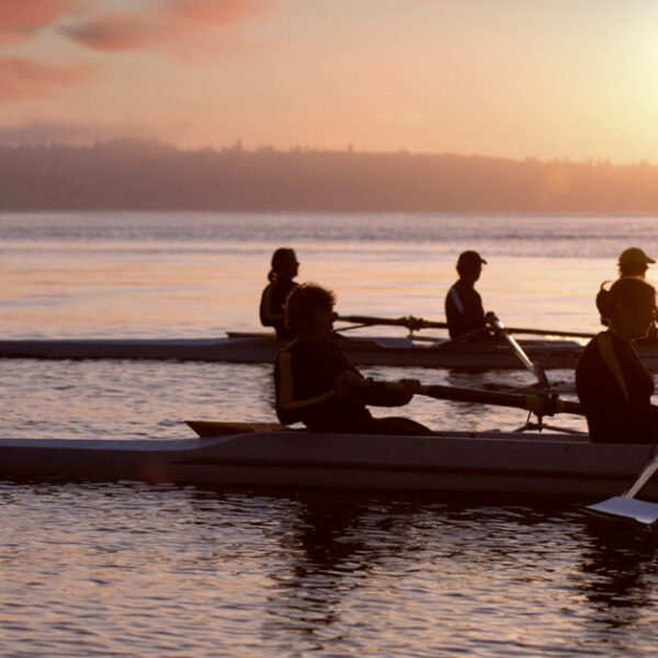 Values: The emotional foundation of workplace culture 